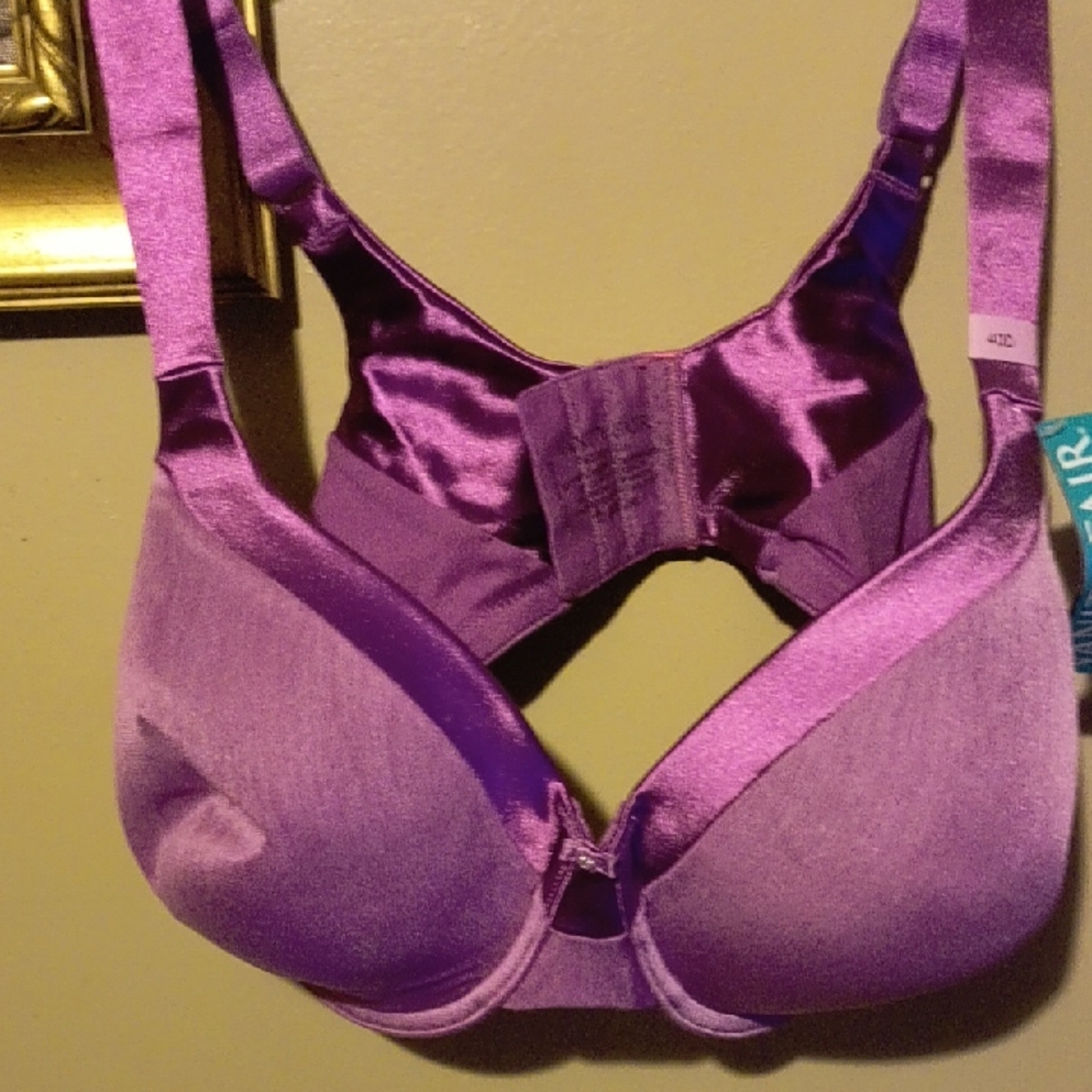 Vanity Fair Radiant Purple Bra (Brand New)